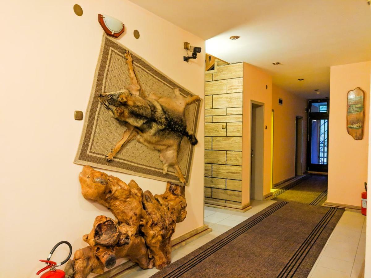 Motel Stecak Яйце Экстерьер фото